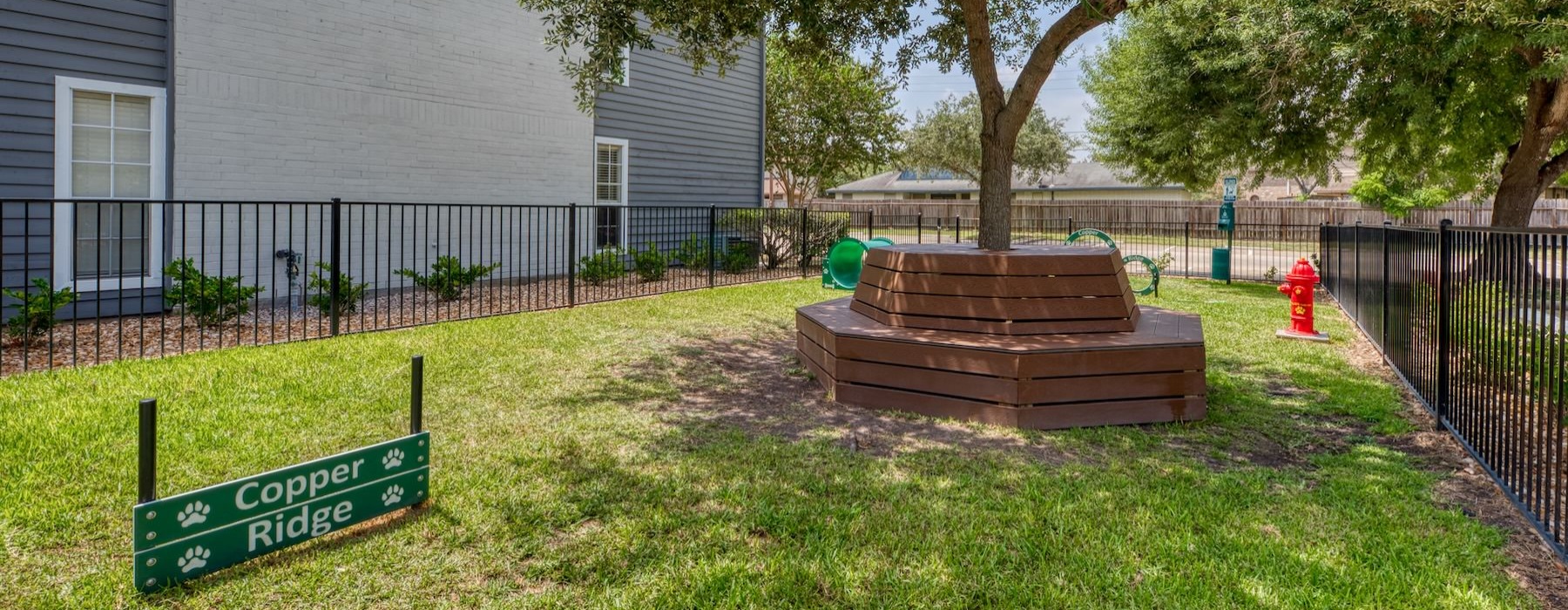 a dog park with a tree